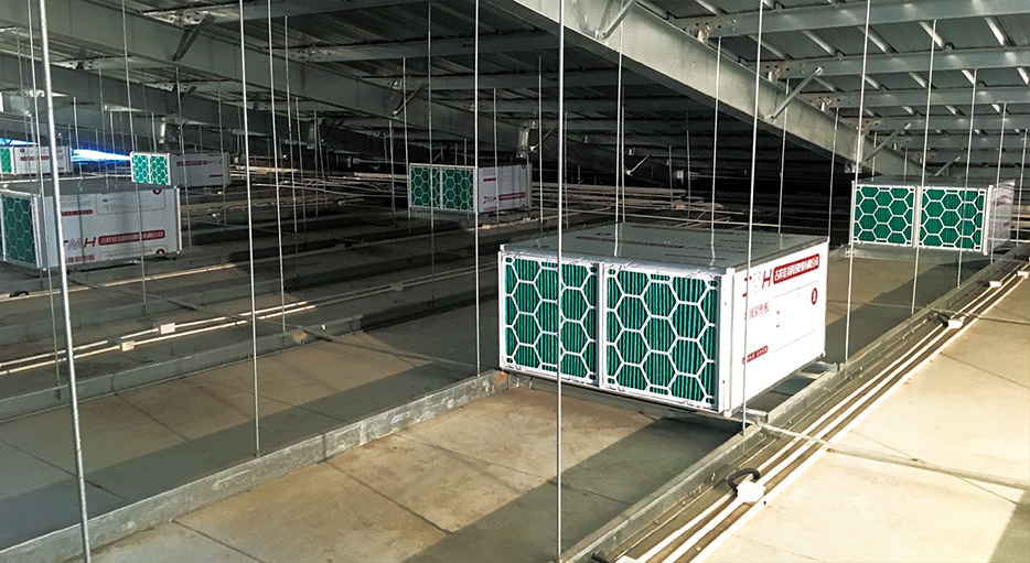 莒南演马项目Antibio养猪场空气过滤系统顶端入风。